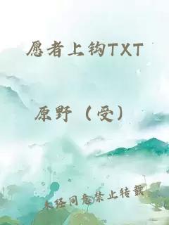 愿者上钩TXT
