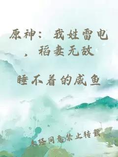 原神：我姓雷电，稻妻无敌