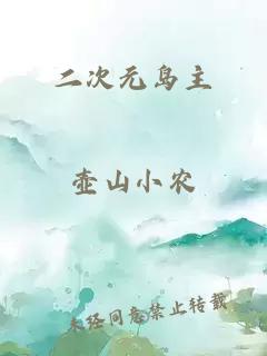 二次元岛主