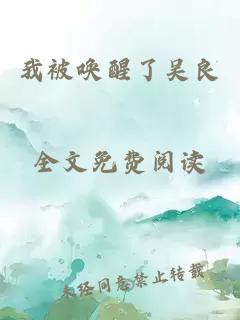 我被唤醒了吴良