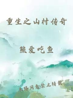 重生之山村传奇
