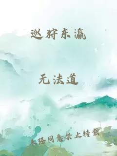 巡狩东瀛