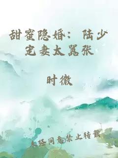 甜蜜隐婚：陆少宠妻太嚣张