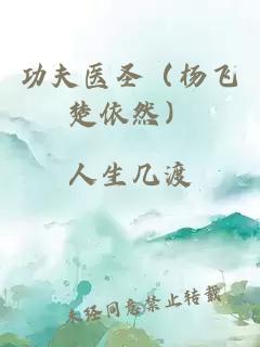 功夫医圣（杨飞楚依然）