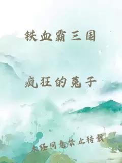 铁血霸三国