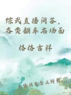 ç»¼æ­¦ç´æ­é®ç­ï¼åç±»ç¿»è½¦ååºé¢