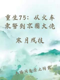 重生75：从火车乘警到京圈大佬