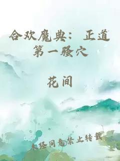 合欢魔典：正道第一骚穴