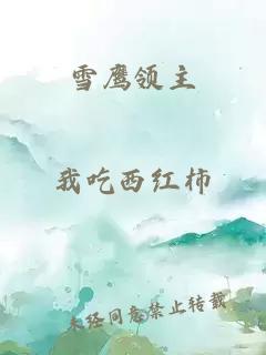 雪鹰领主