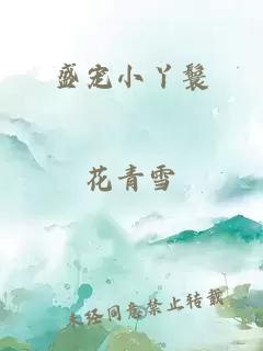 盛宠小丫鬟