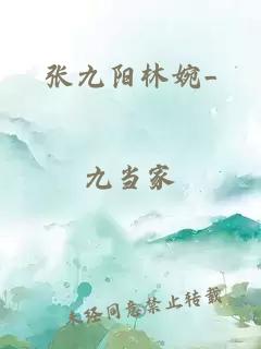 张九阳林婉_