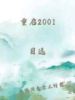 重启2001