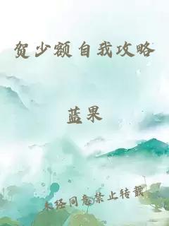 贺少额自我攻略
