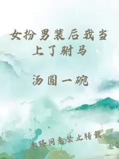 女扮男装后我当上了驸马