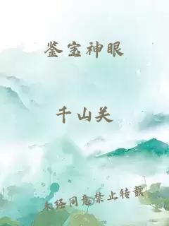 鉴宝神眼
