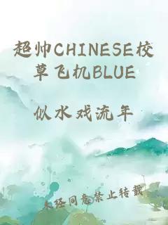 超帅CHINESE校草飞机BLUE